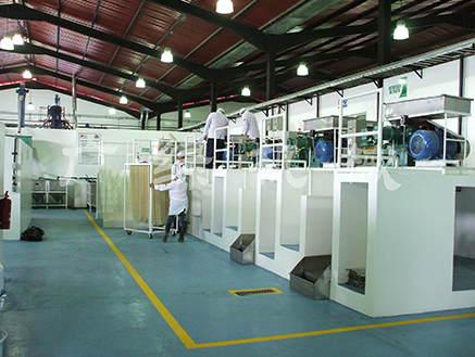 方（fāng）便（biàn）麵生產線